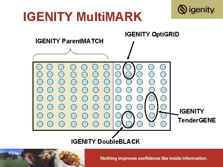 IGENITY Multi. MARK IGENITY Parent. MATCH IGENITY Opti. GRID IGENITY Tender. GENE IGENITY Double.