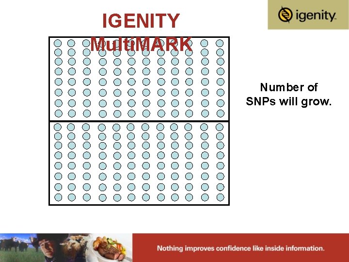 IGENITY Multi. MARK Number of SNPs will grow. 