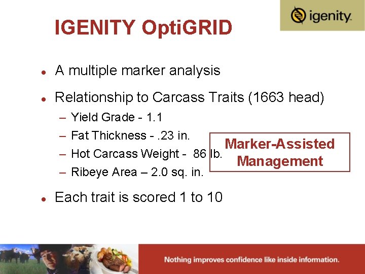 IGENITY Opti. GRID l A multiple marker analysis l Relationship to Carcass Traits (1663