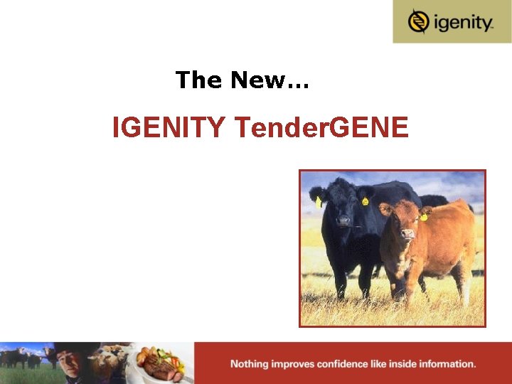 The New… IGENITY Tender. GENE 