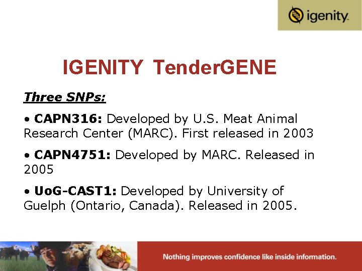 IGENITY Tender. GENE Three SNPs: • CAPN 316: Developed by U. S. Meat Animal