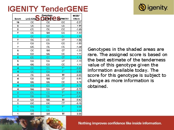 IGENITY Tender. GENE Scores Genotypes in the shaded areas are rare. The assigned score