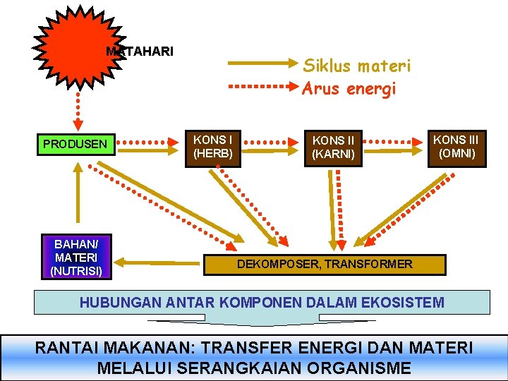 MATAHARI PRODUSEN BAHAN/ MATERI (NUTRISI) Siklus materi Arus energi KONS I (HERB) KONS II