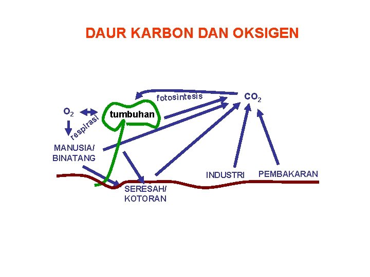 DAUR KARBON DAN OKSIGEN fotosintesis O 2 i as CO 2 tumbuhan ir p