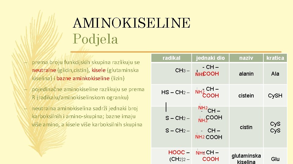 AMINOKISELINE Podjela – prema broju funkcijskih skupina razlikuju se neutralne (glicin, cistin), kisele (glutaminska