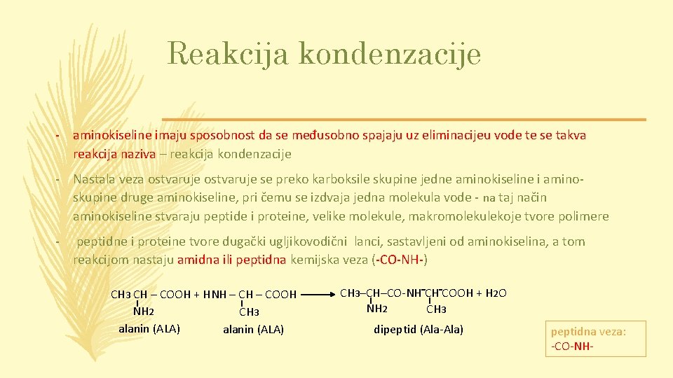 Reakcija kondenzacije - aminokiseline imaju sposobnost da se međusobno spajaju uz eliminacijeu vode te