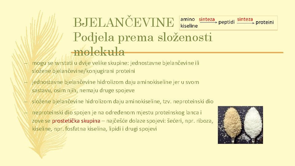 BJELANČEVINE Podjela prema složenosti molekula – mogu se svrstati u dvije velike skupine: jednostavne