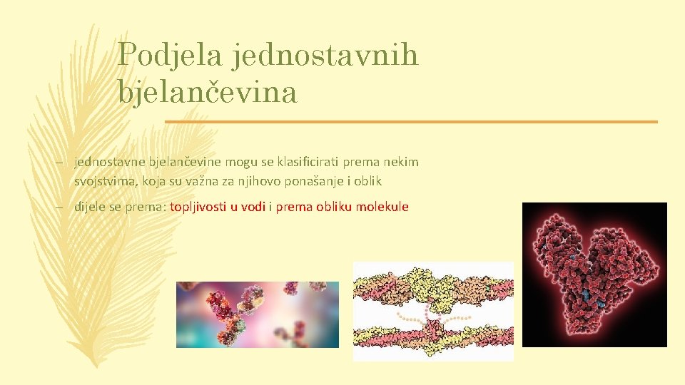 Podjela jednostavnih bjelančevina – jednostavne bjelančevine mogu se klasificirati prema nekim svojstvima, koja su