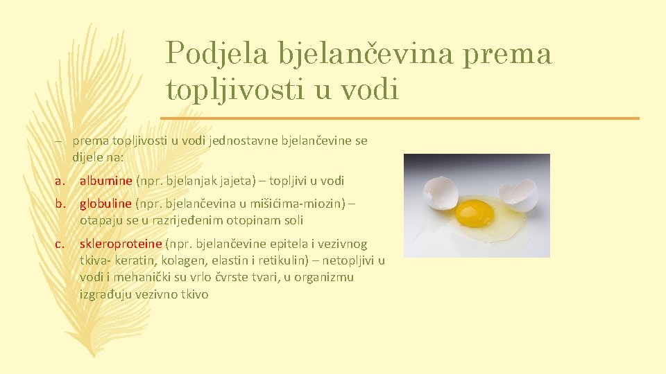 Podjela bjelančevina prema topljivosti u vodi – prema topljivosti u vodi jednostavne bjelančevine se