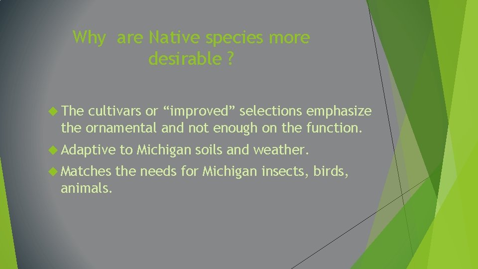 Why are Native species more desirable ? The cultivars or “improved” selections emphasize the