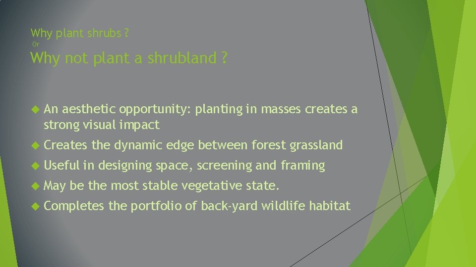 Why plant shrubs ? Or Why not plant a shrubland ? An aesthetic opportunity:
