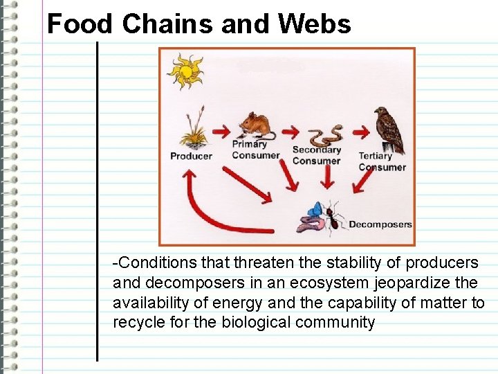 Food Chains and Webs -Conditions that threaten the stability of producers and decomposers in