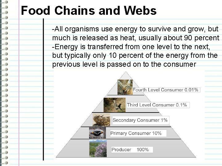 Food Chains and Webs -All organisms use energy to survive and grow, but much