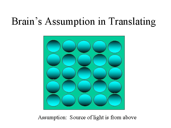 Brain’s Assumption in Translating Assumption: Source of light is from above 