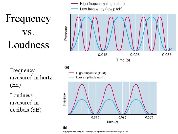 Frequency vs. Loudness Frequency measured in hertz (Hz) Loudness measured in decibels (d. B)