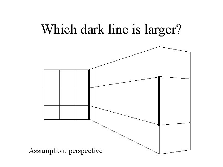 Which dark line is larger? Assumption: perspective 