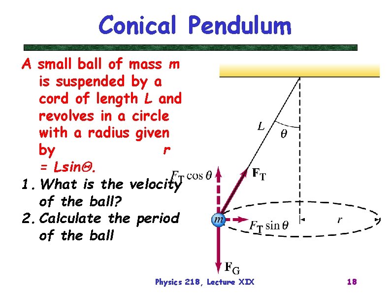 Conical Pendulum A small ball of mass m is suspended by a cord of