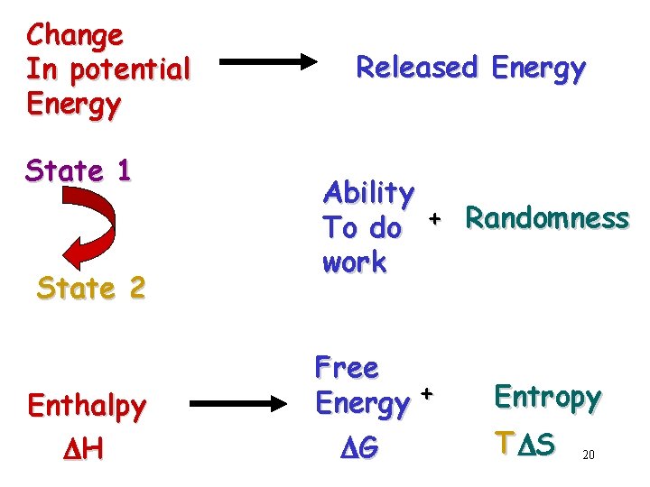 Change In potential Energy State 1 State 2 Enthalpy DH Released Energy Ability To