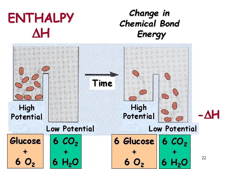 Change in Chemical Bond Energy ENTHALPY DH Time High Potential Low Potential Glucose +