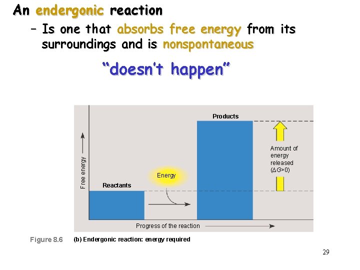 An endergonic reaction – Is one that absorbs free energy from its surroundings and