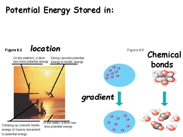 Potential Energy Stored in: Figure 8. 2 location Figure 8. 5 On the platform,