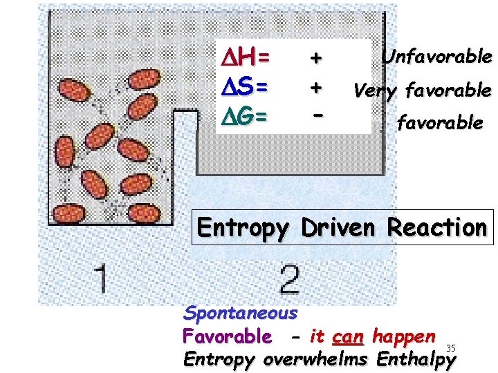 DH= DS= DG= + + - Unfavorable Very favorable Entropy Driven Reaction Spontaneous Favorable