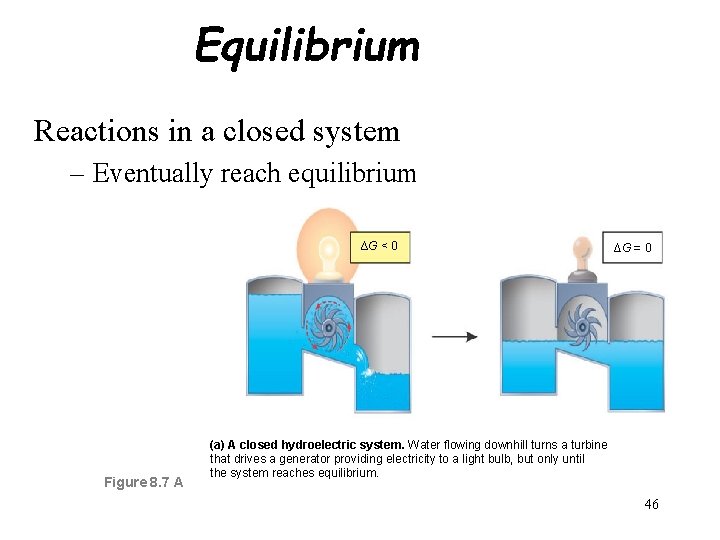 Equilibrium Reactions in a closed system – Eventually reach equilibrium ∆G < 0 Figure