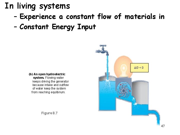 In living systems – Experience a constant flow of materials in – Constant Energy