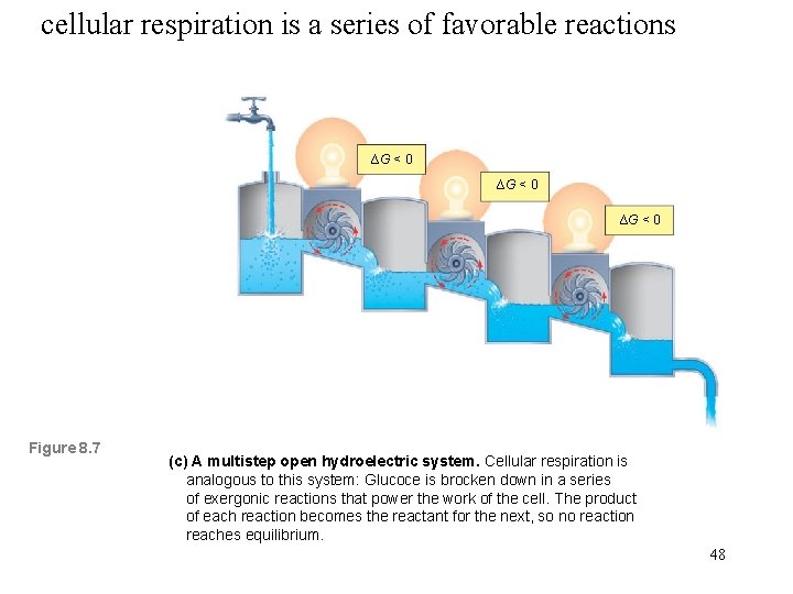 cellular respiration is a series of favorable reactions ∆G < 0 Figure 8. 7