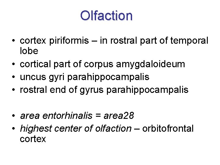 Olfaction • cortex piriformis – in rostral part of temporal lobe • cortical part Olfaction • cortex piriformis – in rostral part of temporal lobe • cortical part