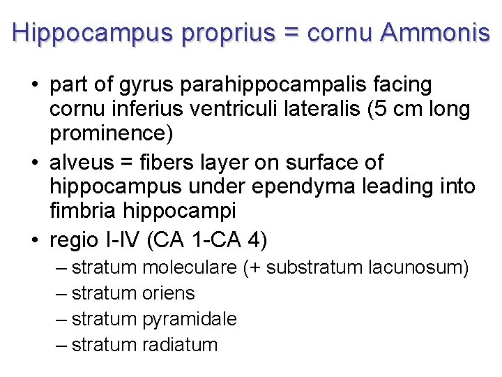 Hippocampus proprius = cornu Ammonis • part of gyrus parahippocampalis facing cornu inferius ventriculi Hippocampus proprius = cornu Ammonis • part of gyrus parahippocampalis facing cornu inferius ventriculi