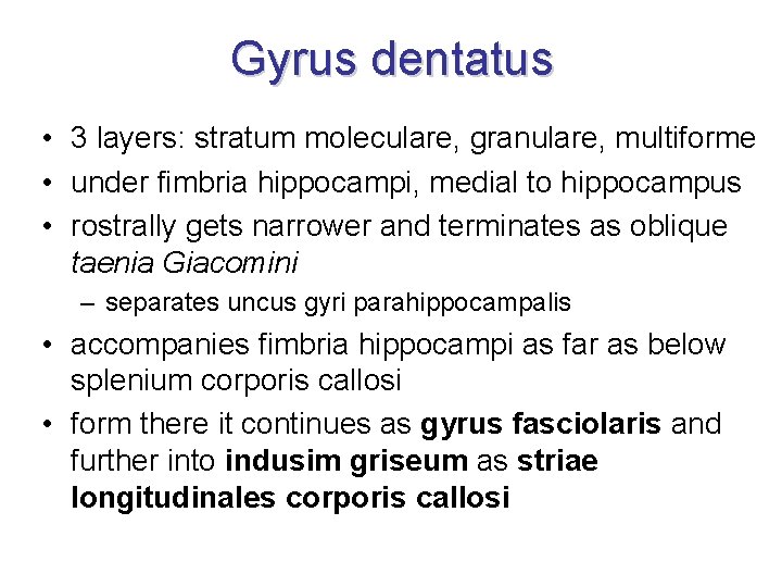 Gyrus dentatus • 3 layers: stratum moleculare, granulare, multiforme • under fimbria hippocampi, medial Gyrus dentatus • 3 layers: stratum moleculare, granulare, multiforme • under fimbria hippocampi, medial