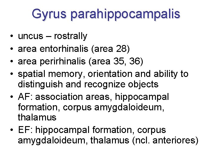 Gyrus parahippocampalis • • uncus – rostrally area entorhinalis (area 28) area perirhinalis (area Gyrus parahippocampalis • • uncus – rostrally area entorhinalis (area 28) area perirhinalis (area