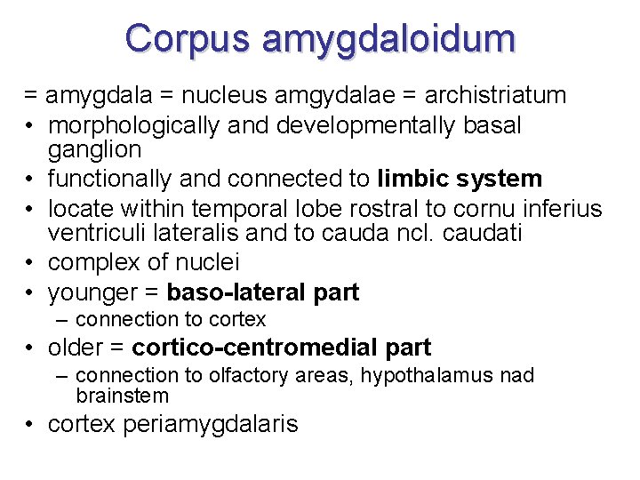 Corpus amygdaloidum = amygdala = nucleus amgydalae = archistriatum • morphologically and developmentally basal Corpus amygdaloidum = amygdala = nucleus amgydalae = archistriatum • morphologically and developmentally basal