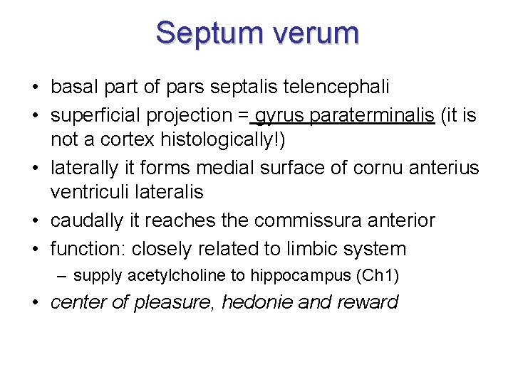 Septum verum • basal part of pars septalis telencephali • superficial projection = gyrus Septum verum • basal part of pars septalis telencephali • superficial projection = gyrus