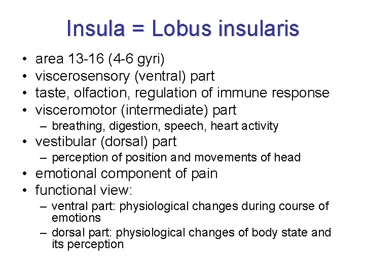 Insula = Lobus insularis • • area 13 -16 (4 -6 gyri) viscerosensory (ventral) Insula = Lobus insularis • • area 13 -16 (4 -6 gyri) viscerosensory (ventral)