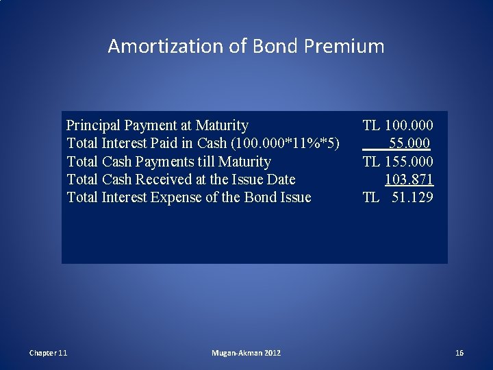 Amortization of Bond Premium Principal Payment at Maturity Total Interest Paid in Cash (100.