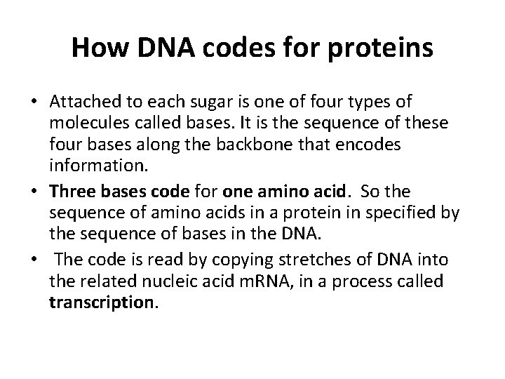 How DNA codes for proteins • Attached to each sugar is one of four