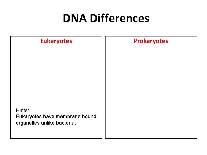 DNA Differences Eukaryotes Hints: Eukaryotes have membrane bound organelles unlike bacteria. Prokaryotes 