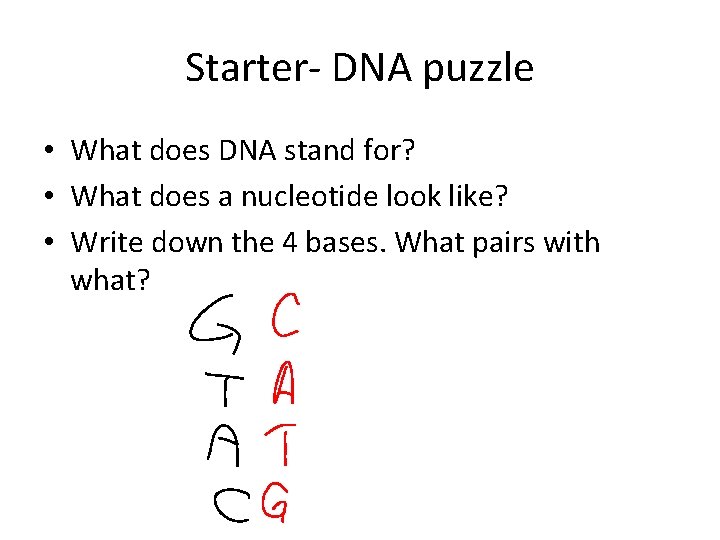 Starter- DNA puzzle • What does DNA stand for? • What does a nucleotide