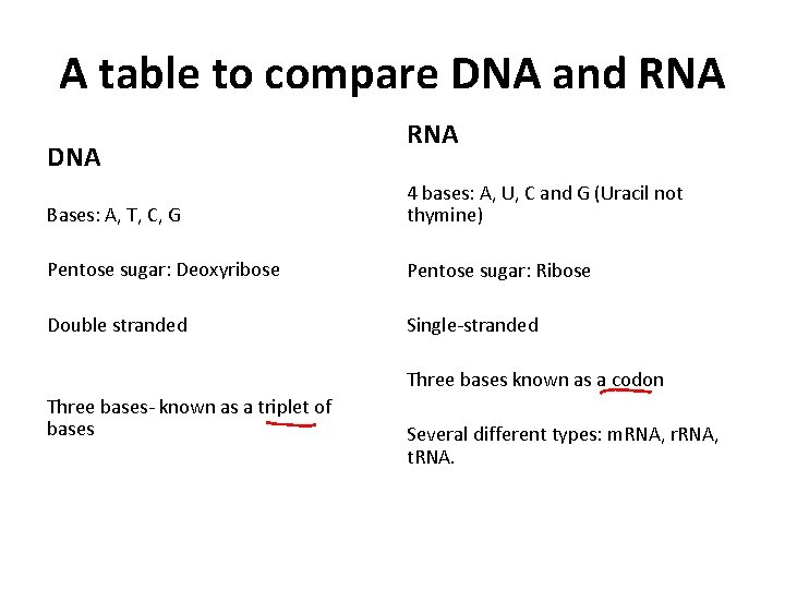 A table to compare DNA and RNA DNA RNA Bases: A, T, C, G
