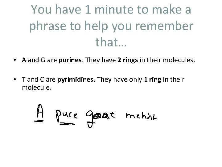 You have 1 minute to make a phrase to help you remember that… •