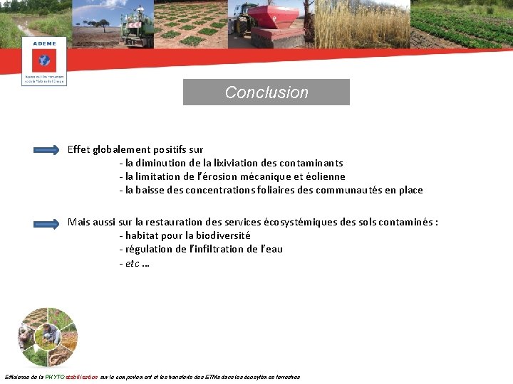 Conclusion Effet globalement positifs sur - la diminution de la lixiviation des contaminants -