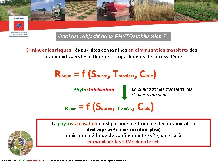 Quel est l’objectif de la PHYTOstabilisation ? Diminuer les risques liés aux sites contaminés