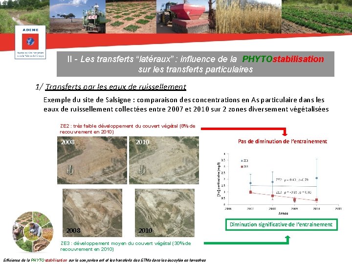 II - Les transferts “latéraux” : influence de la PHYTOstabilisation sur les transferts particulaires