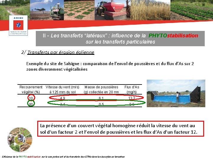 II - Les transferts “latéraux” : influence de la PHYTOstabilisation sur les transferts particulaires