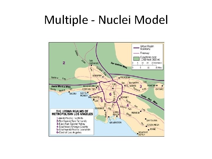 Multiple - Nuclei Model 