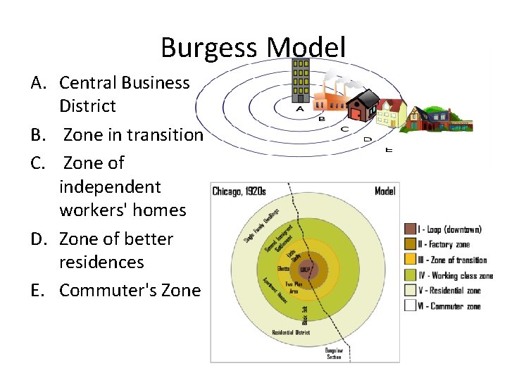 Burgess Model A. Central Business District B. Zone in transition C. Zone of independent