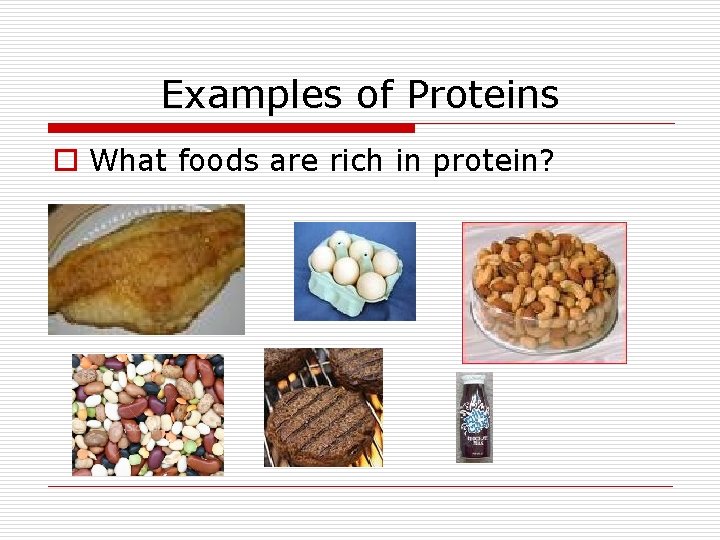 Examples of Proteins o What foods are rich in protein? 
