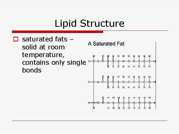 Lipid Structure o saturated fats – solid at room temperature, contains only single bonds